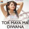 About Tor Maya Ma Diwana Song